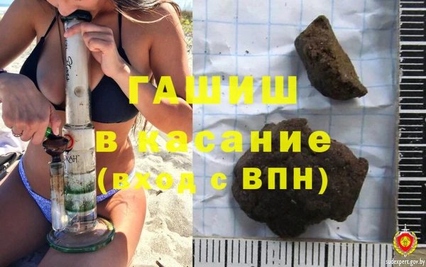 индика Алзамай