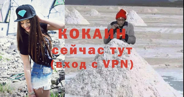 стафф Алексин