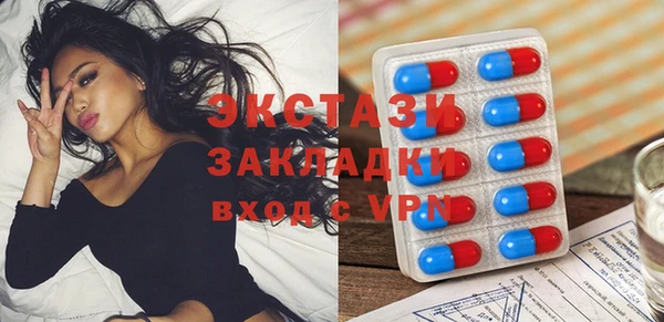 индика Алзамай