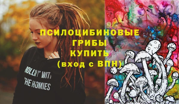 хмурый Няндома